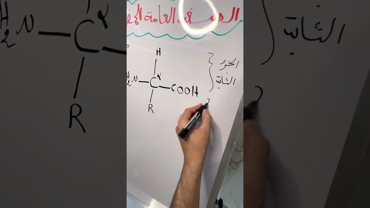 الحمض الأميني 🔥