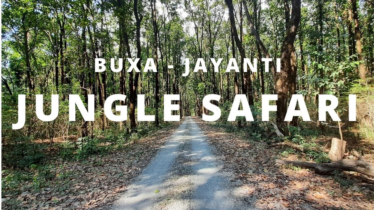buxa jungle safari booking