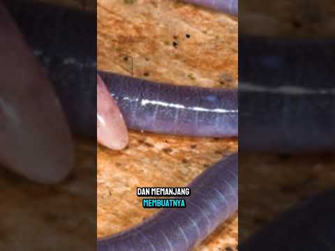 If Your Into This Male Enhancement Might Be For You