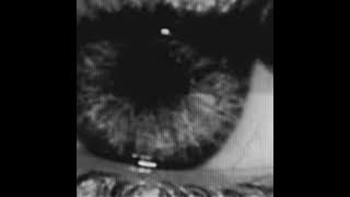 Hardrock - madmax 432hz