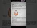 MSc. Zoology Endocrinology| Thyroid gland and its disorders notes preview #fyp
