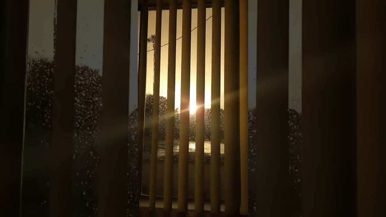 Joey Moon - Itzamná & Ixchel 