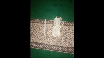 Ruling on using miswak during fasting?