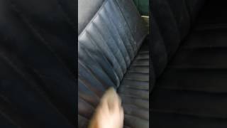 Cleaning mold off leather seats (RK PRESERVE)