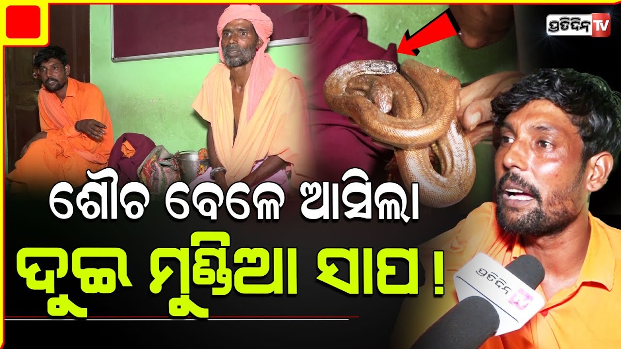 ବାବାଙ୍କ ଦୁଇ ମୁଣ୍ଡିଆ ସାପ ଦେଖି ଲିଙ୍ଗରାଜ ପୋଲିସ୍ ଆଶ୍ଚର୍ଯ୍ୟ ! Two headed Snake rescued from baba, BBSR.