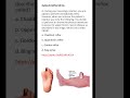 Medicine &amp; Surgery MCQs (For MBBS, USMLE, MCCQE &amp; PLAB)