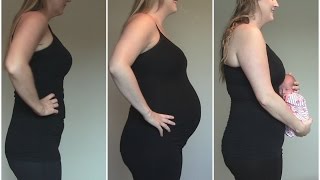 Watch My Belly Grow - Weekly Pregnancy Progression