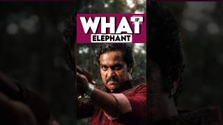 “Kattalan Trailer Breakdown: Next Level Violence & Smuggling Story!” #kattalan #southmovie #shorts