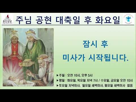영상썸네일