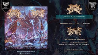 GENERAL FIBROSIS & TUMORFLESH REJECTION - LIBERATION THROUGH DISINTEGRATION (2025) SW EXCLUSIVE