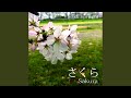 さくら