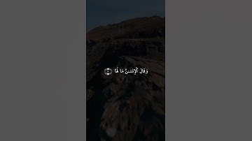 سورة الزلزلة | ياسر الدوسري #زلزال #قرآن | #واعي
