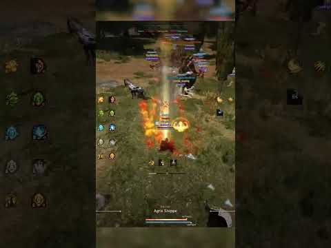 Awake Dosa = Position & Engage | Black Desert NodeWar