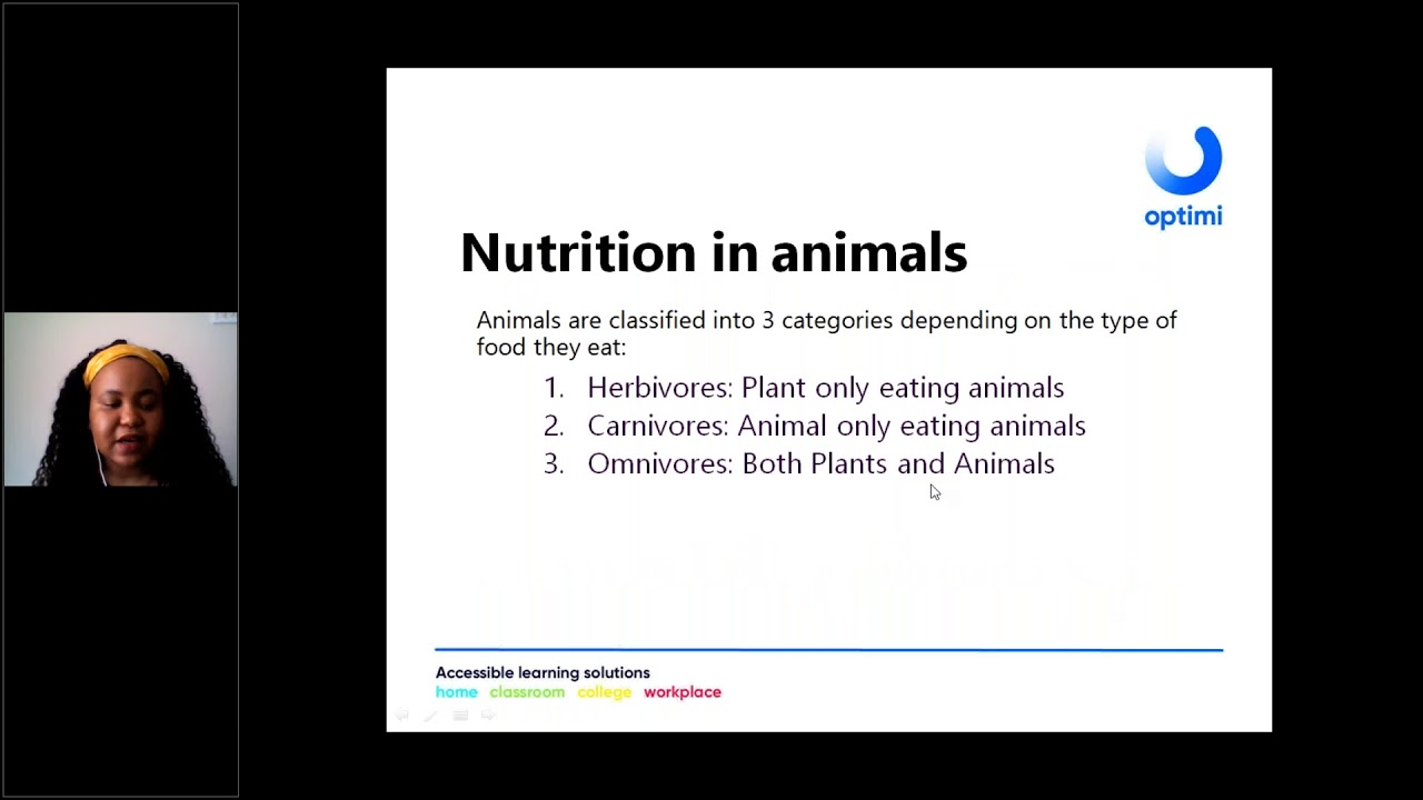 Grade 11 Life Sciences Human Nutrition Part 1 Digestive System YouTube