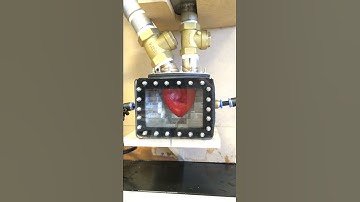 Copy of Pulsatile Duplication Heart Ventricle Pump, Pulsatile Flow, 60BPM