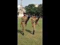 Dahine salute by ncc cadets ncc drill practice