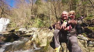 Rupit