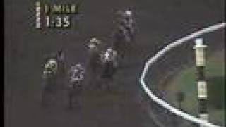 1989 Breeders' Cup Classic