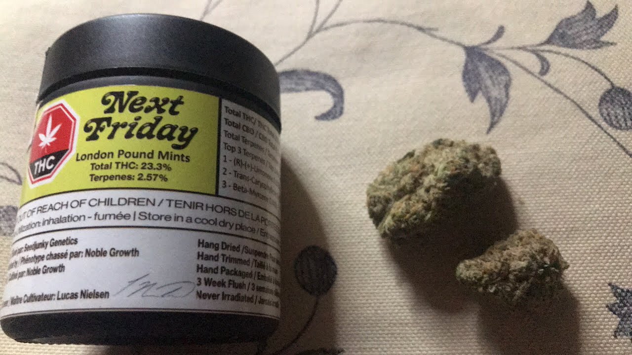 LONDON POUND MINTS || 23.3% THC Indica dominant 💪🏽 😧
