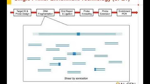 Target Enrichment Technology Optimized for Analysis of SNPs, Mutations, and Copy Number Changes