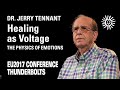 Dr. Jerry Tennant: Healing as Voltage | EU2017