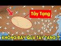 Tây Tạng có gì mà không máy bay nào dám bay qua ?