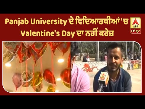Panjab University ਦੇ ਵਿਦਿਆਰਥੀਆਂ `ਚ Valentine`s Day ਦਾ ਨਹੀਂ ਕਰੇਜ਼ | ABP Sanjha