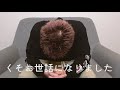 【ご報告】いちから株式会社を退職しました。新会社を設立しました。