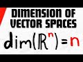 Understanding Vector Spaces and Dimensions