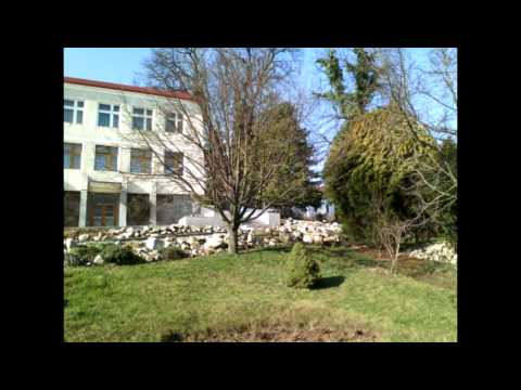 Happy birthday to me!