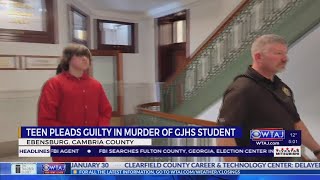 Johnstown teen pleads guilty in shooting death of high school student | WTAJ