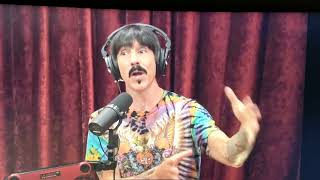 Anthony Kiedis talking about St. Augustine Alligator Farm with Joe Rogan