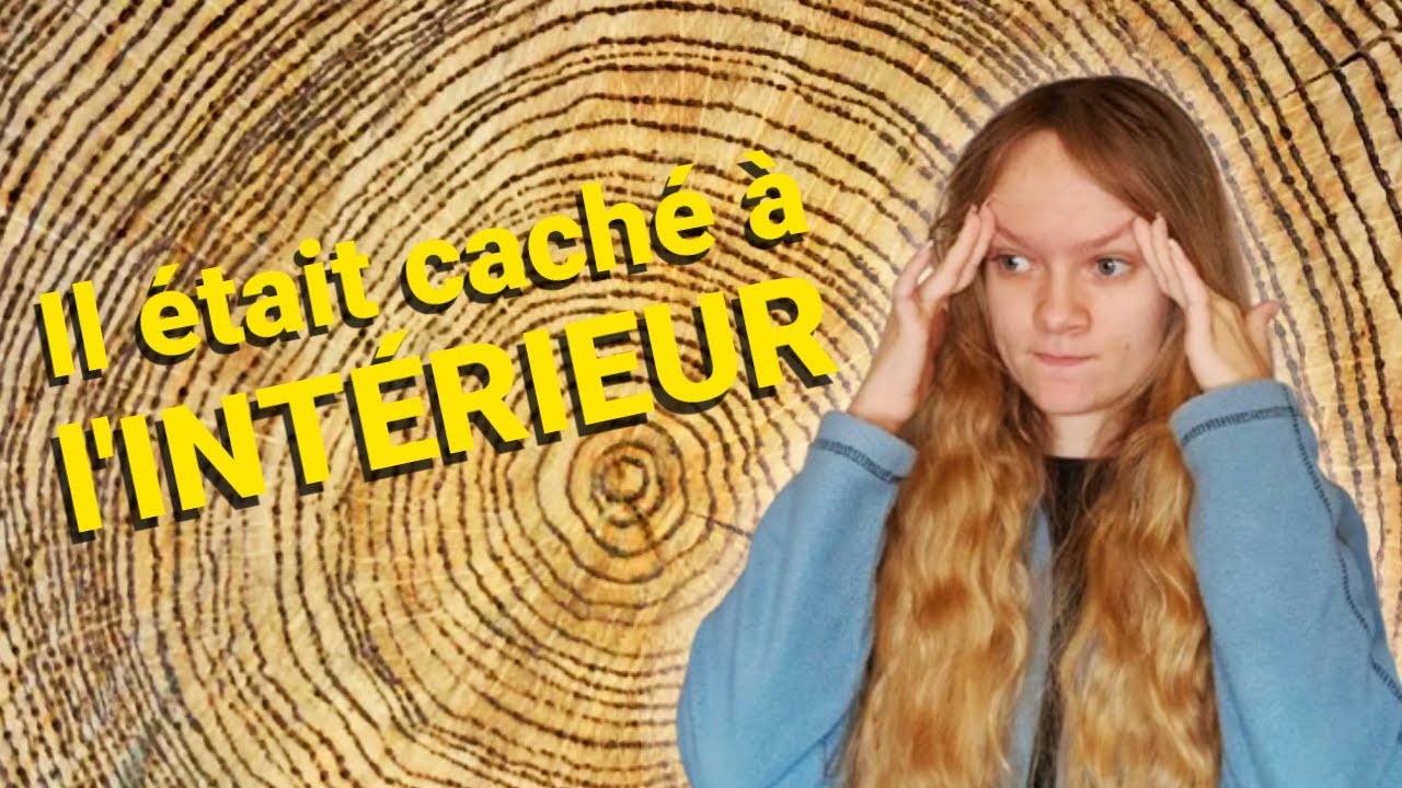 Il était caché à l'INTÉRIEUR : CRÉA# 2