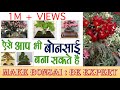 ऐसे आप भी बोन्साई पौधा बना सकते हैं | MAKE BONSAI PLANT : Be Expert