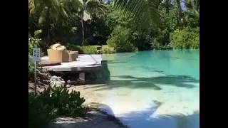 Bora Bora Island - French Polynesia