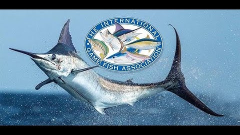 Submit IGFA World Record Fish