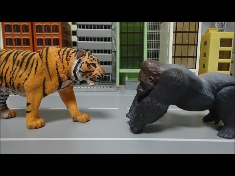 고릴라 vs 호랑이 <strong>gorilla</strong> vs tiger