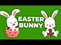 Easter Bunny Green Screen Collection 4K (No Copyright)