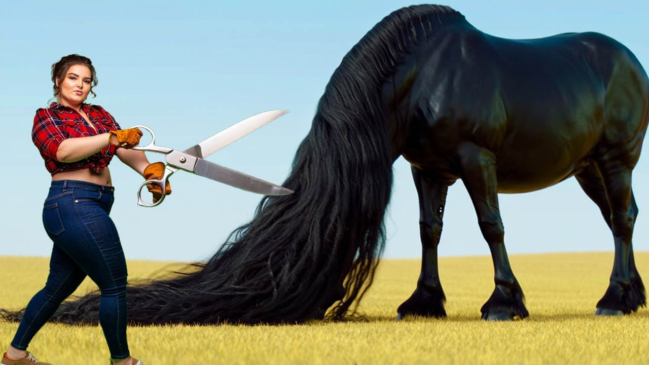 This Horse Lived in DARKNESS… Until One Day EVERYTHING Changed! 🌟🐴