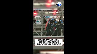 Terrifying rescue on the Brooklyn Bridge