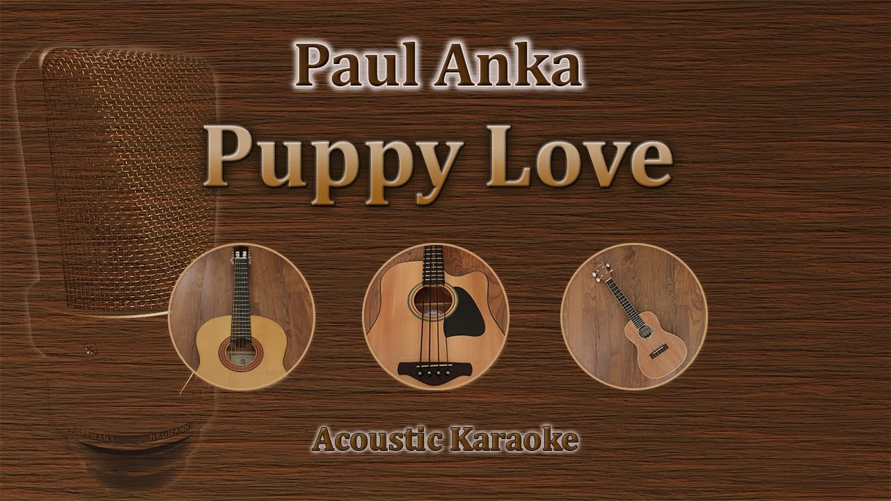 Puppy Love - Paul Anka (Acoustic Karaoke)