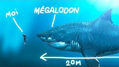LE MÉGALODON A-T-IL VRAIMENT EXISTÉ ? Vrai ou Faux #93
