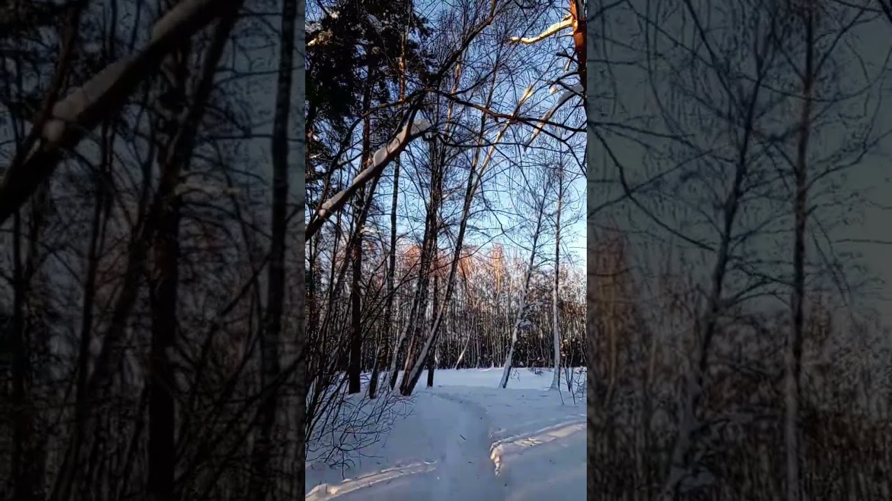 Солнечный день 