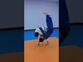 외깃 업어치기 Cross grip Seoi nage