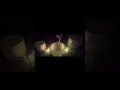 Find Your Inner Peace To Start The Week #soundhealing #meditation #soundbath #soundtherapy #healing