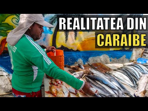Video: Cele mai bune locuri pentru pescuitul sportiv din America de Sud