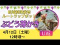 【ライブ】芽かきと1年目の樹について【縦画面です】