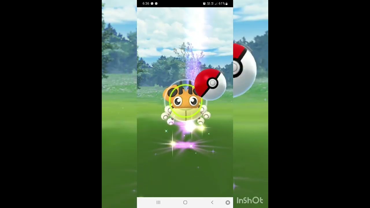 Shiny Ledyba ✨️ Spotlight hour @we pokelovers