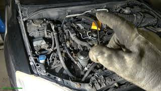 How to replace Toyota D4D diesel engine drive belt. y2002 to 2024