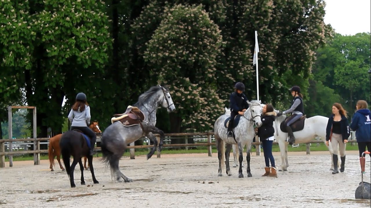 Happiness ♡ - Haras de Jardy [ Horse riding falls ] - YouTube